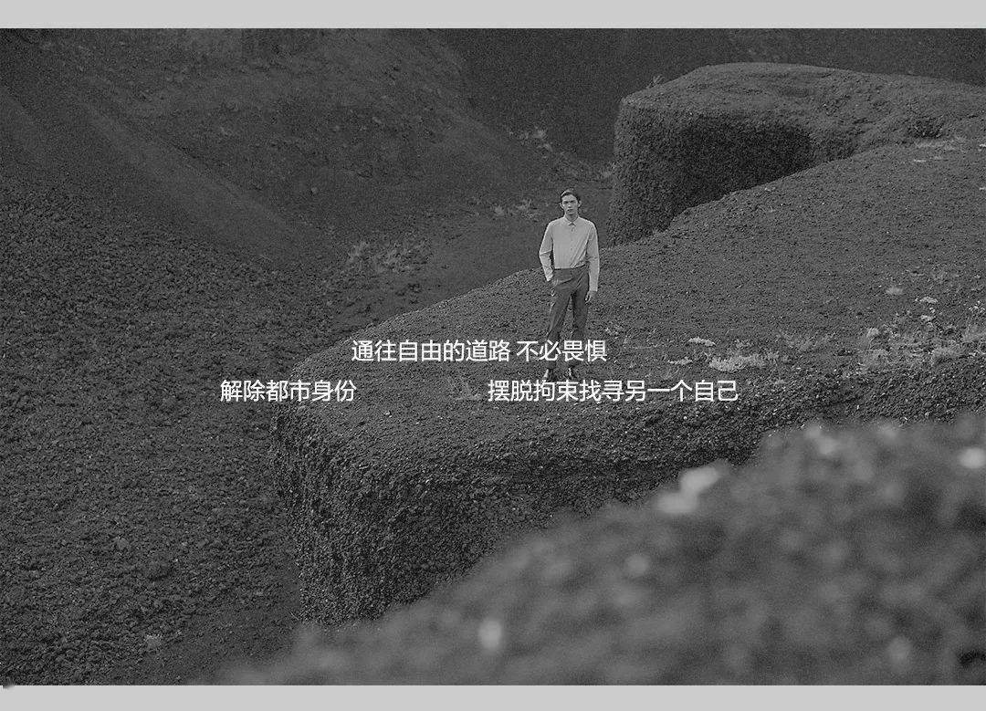 破碎的动物图形3